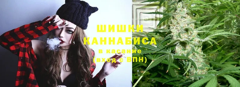 Бошки марихуана THC 21%  Лесосибирск 